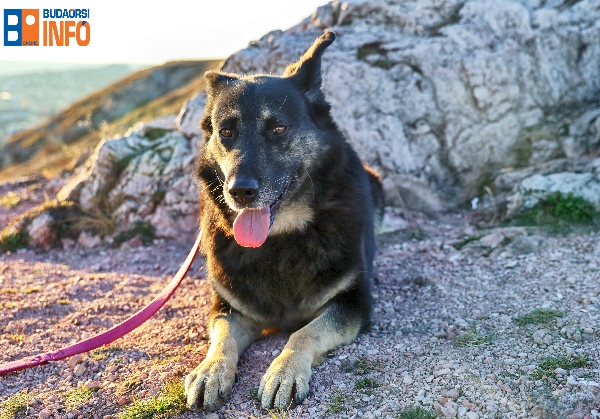 derekkaracsonya2021 (5)