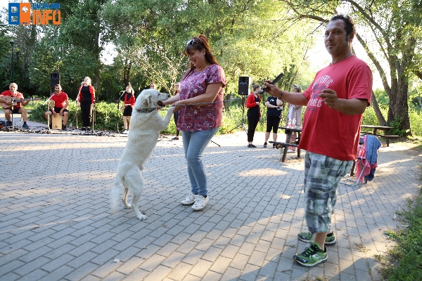 romanoglaszohet2022kamaraerdeipark22