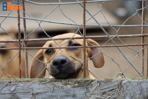 menhely2022_ovi (15)