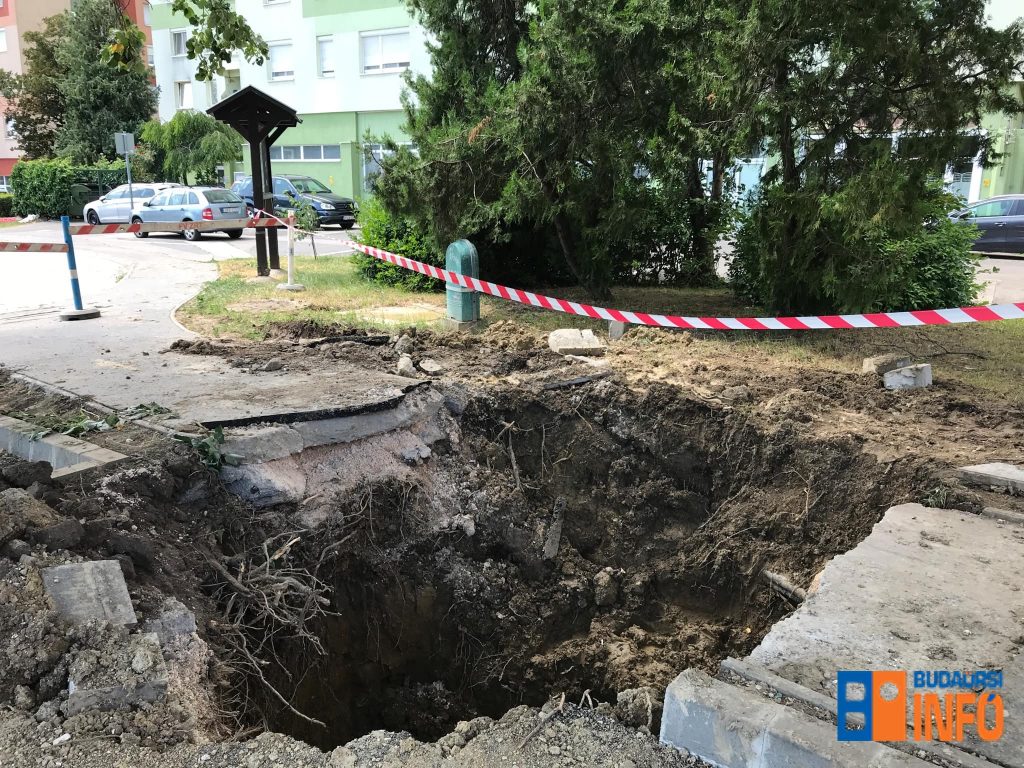 vizmuvek_csotores_Levai_bejelentes_2025jun18