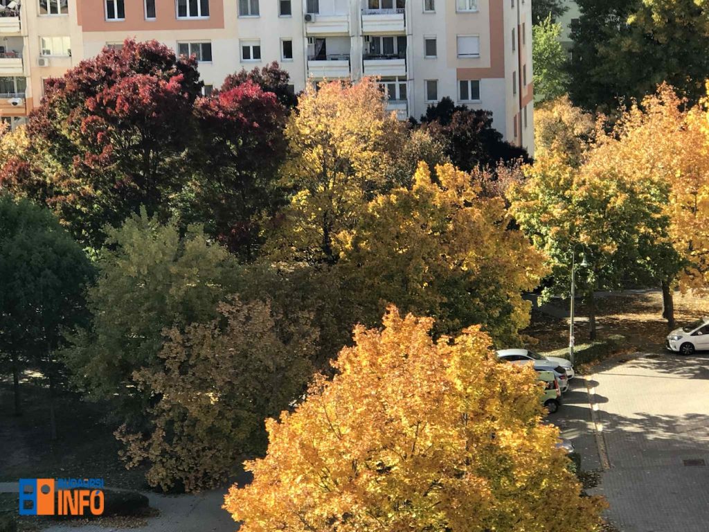 budaors_lakotelep_oszi_napos_idojaras_2025okt