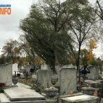 temeto_2025okt24_nagyvarad_rulikowszki