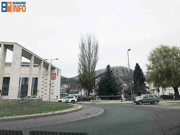 budaorkaracsonyfa2025