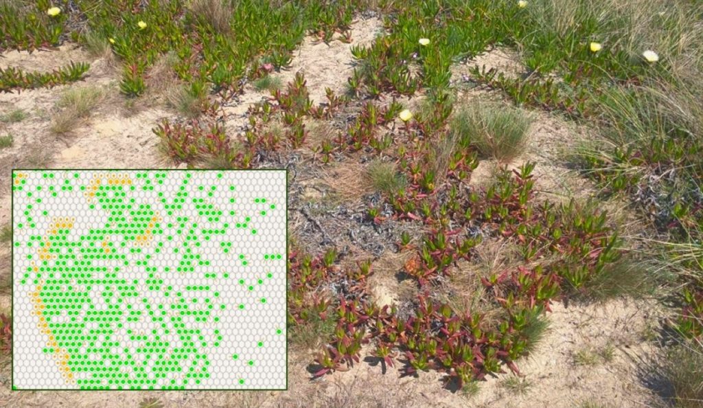 © Ökológiai Kutatóközpont