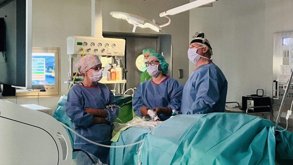 a-pecsi-klinikai-kozpontban-vegeztek-el-az-elso-hazai-vese-keresztdonaciot-1024x576_2026jan29_Foto_Pecsi_Tudomanyegyetem