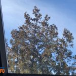 budaors_napos_tel_2026_jan13_tel_havas