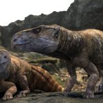 © Készítette: Matthew Dempsey | Az Ajkaceratops kozmai lehetséges megjelenésének rekonstrukciója.