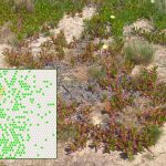 © Ökológiai Kutatóközpont