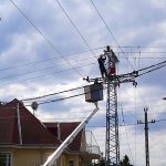 madarmentes_budaorson_toth_f_2026apr22