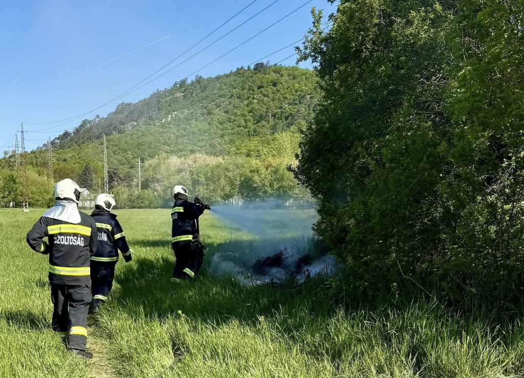 egett_az_aljnovenyzet_2026_maj2_Kalovits_kep