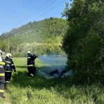 egett_az_aljnovenyzet_2026_maj2_Kalovits_kep