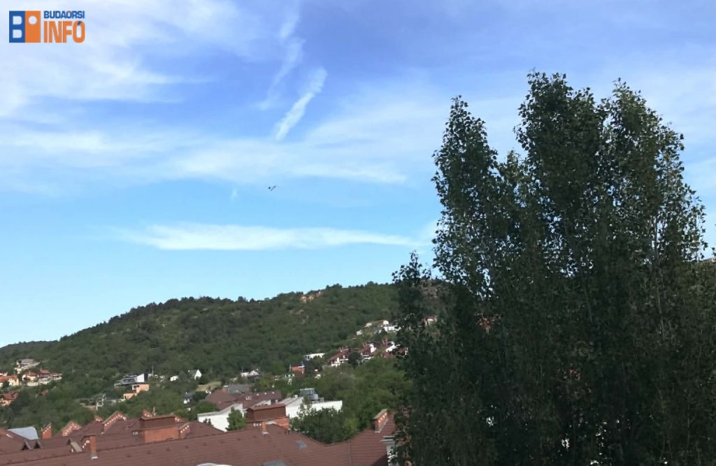 erdo_lakotelep_budaors_fa_2026maj