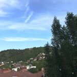 erdo_lakotelep_budaors_fa_2026maj