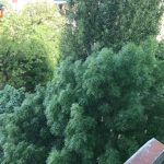 lakotelep_budaors_fak_2026maj19