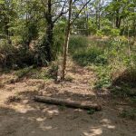 kerites_rongalas2_farkas_benedek_2026jun23