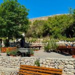 kohegy_novenyultetetes_monostori_kalovits_kep_2026jul3