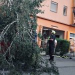 szivarvany_u_2026jul2_tuzoltok_kepe_budaors