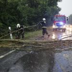 Tűzoltók dolgoznak a viharban kidőlt fánál a 7-es főúton Galambok közelében 2026. július 1-jén. MTI/Varga György